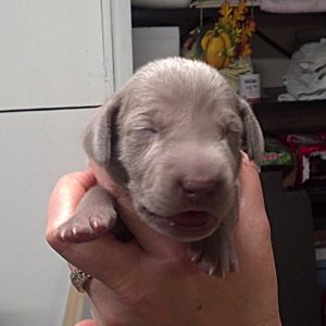 fern_5_minutes.jpg - 20.4 K