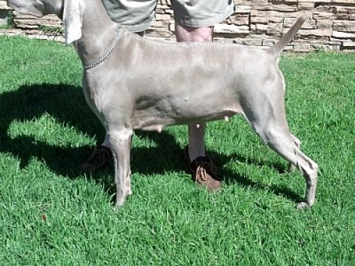 misty_day_65.jpg - 128 K