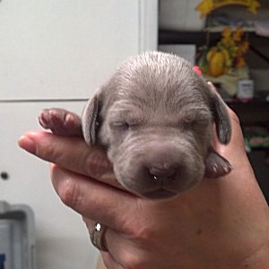 nellie_5_minutes.jpg - 20.4 K