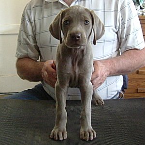 Charlotte_Front_1.jpg - 20.4 K