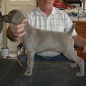 Charlotte_Side_1.jpg - 20.4 K