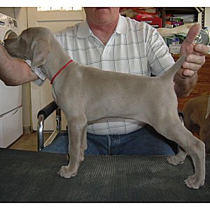 Fern_Side_1.jpg - 20.4 K