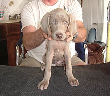 Charlotte_Front_2.jpg - 20.4 K