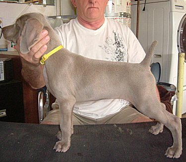 Charlotte_Side_2.jpg - 20.4 K