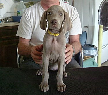 Charlotte_Front_3.jpg - 20.4 K