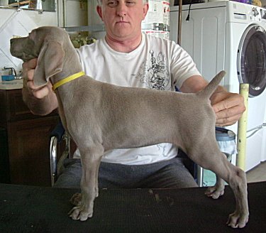 Charlotte_Side_3.jpg - 20.4 K