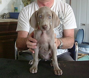 Fern_Front_3.jpg - 20.4 K