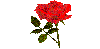Rose24a_r.gif - 1.71 K