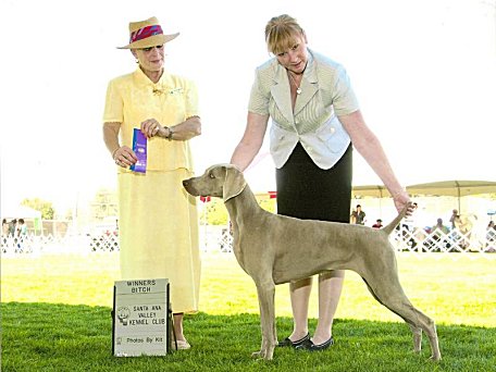 Mobley_Ventura2_08Jul10.jpg - 137.36 K