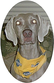 mobley.jpg - 62.50 K