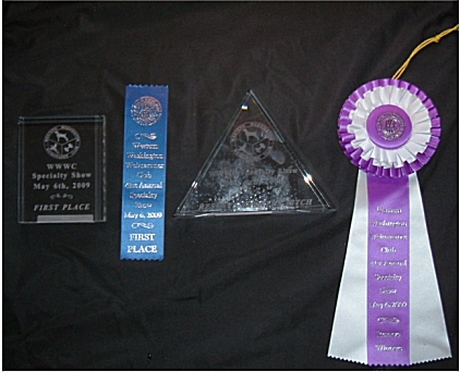 mobley_winnings_wwws.jpg - 109.78 K