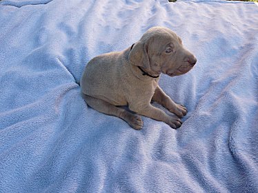 blk_2oct11.jpg - 29.1 K