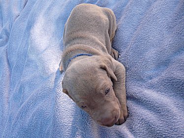 blu_2oct11.jpg - 29.1 K