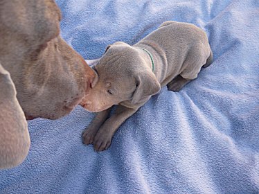 sea_2oct11.jpg - 29.1 K