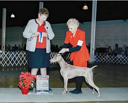 images/penny_finishing_12072013.jpg - 137.26 K