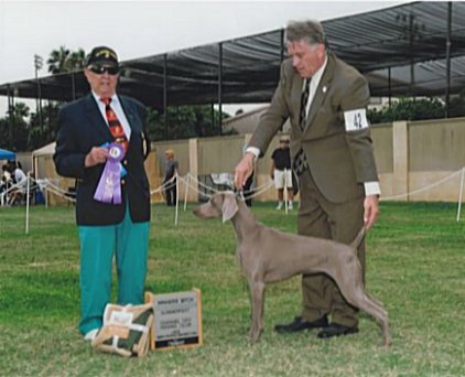 penny_second_major_07052013.jpg - 137.26 K