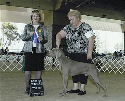 ricky_angeles_cyn_win_04212010.jpg - 153.63 K