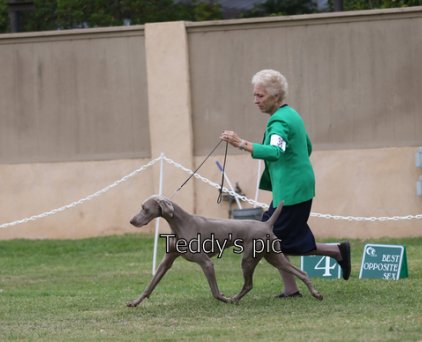 ruby-moving.jpg - 137.26 K