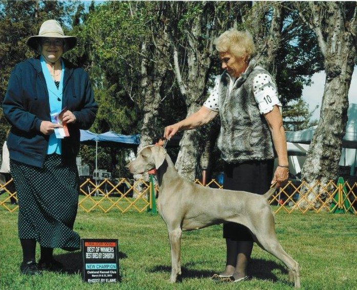 ruby_champion.jpg - 137.26 K