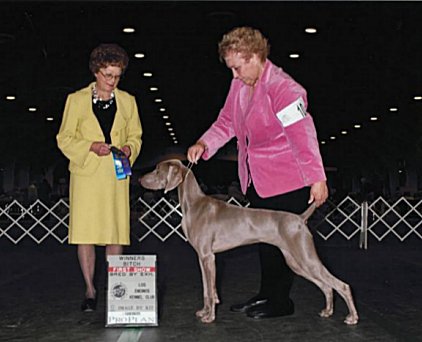 ruby_first_point.jpg - 137.26 K