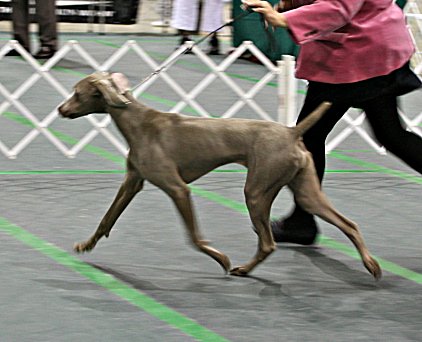 ruby_movement.jpg - 137.26 K