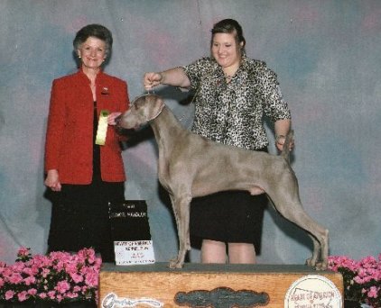 Rumor.jpg - 163.73 K