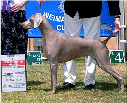 Scarlet_Major_New_Champion.jpg - 163.73 K