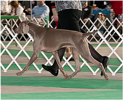 seagram_moving.jpg - 120.65 K