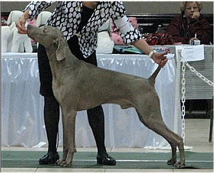 seagram_stacked.jpg - 119.10 K