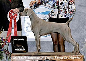 Scarlet.jpg - 159.03 K