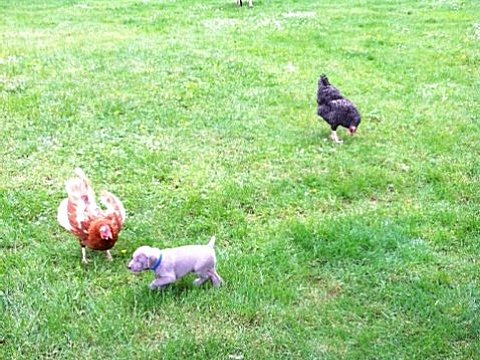 blue_boy_05212012.jpg - 141.29 K