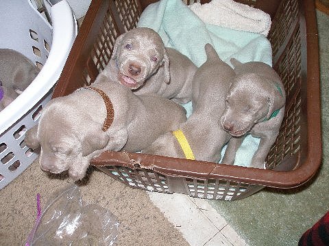 picture_1_05152012.jpg - 141.29 K