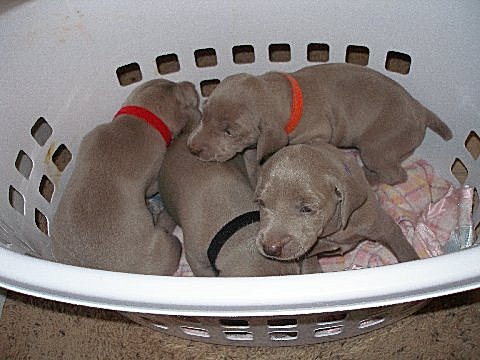 picture_2_05152012.jpg - 141.29 K