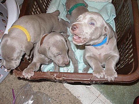 picture_5_05152012.jpg - 141.29 K