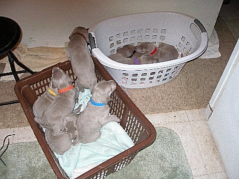 picture_7_05152012.jpg - 141.29 K