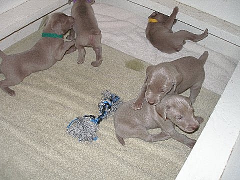 picture_8_05152012.jpg - 141.29 K