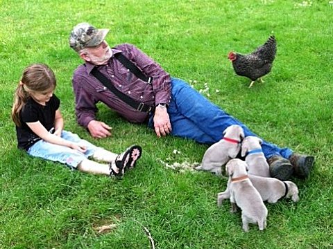 puppy_pow_wow_05212012.jpg - 141.29 K