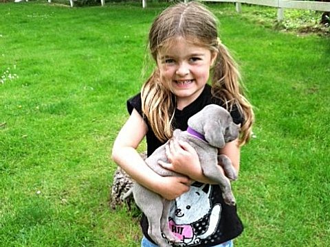 purple_girl_05212012.jpg - 141.29 K