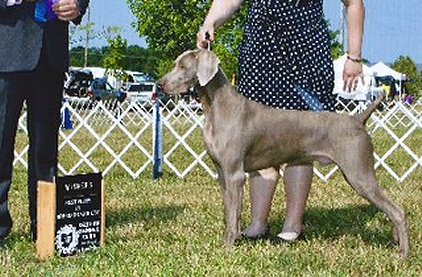 whistler_06302012.jpg - 137.26 K