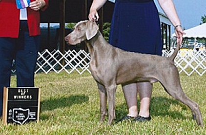 whistler_07012012.jpg - 137.26 K