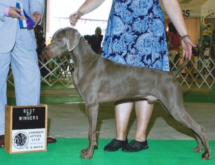 whistler_rwd_bp_grp2_.jpg - 137.26 K